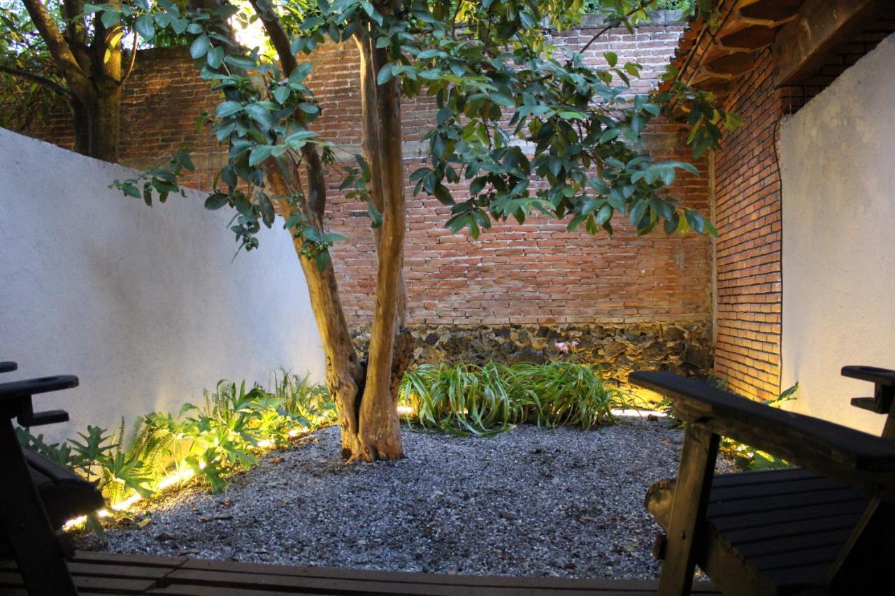 Organico Hotel Boutique Tepoztlán Exterior photo