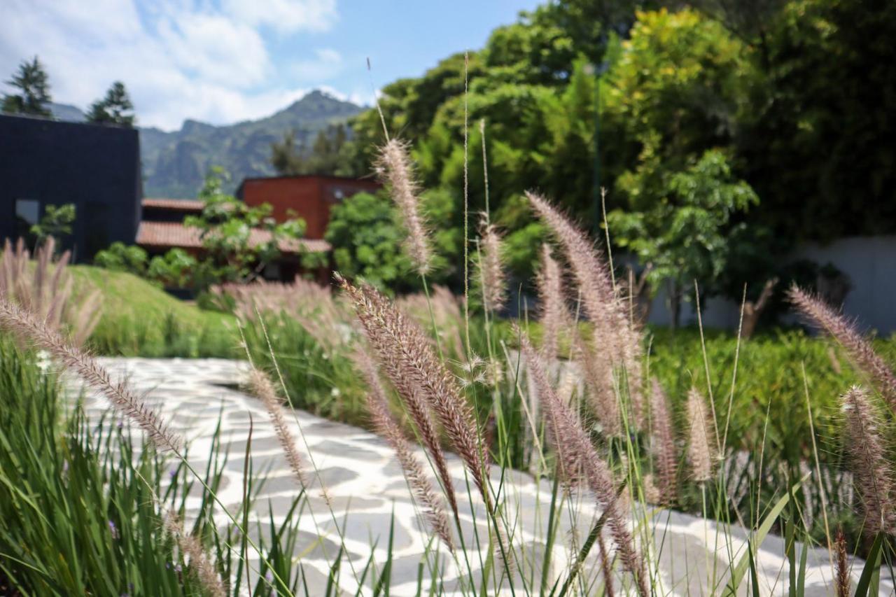 Organico Hotel Boutique Tepoztlán Exterior photo